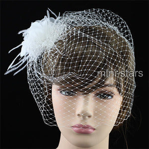 Bridal Birdcage Ivory Netting Veil Feathers Fascinator Flower XT1565-0